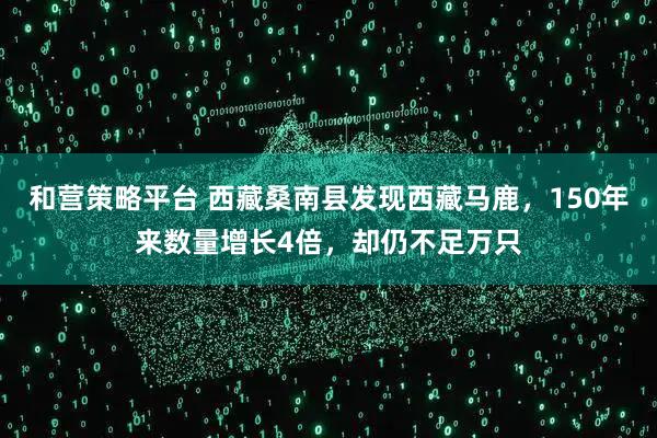 和营策略平台 西藏桑南县发现西藏马鹿，150年来数量增长4倍，却仍不足万只