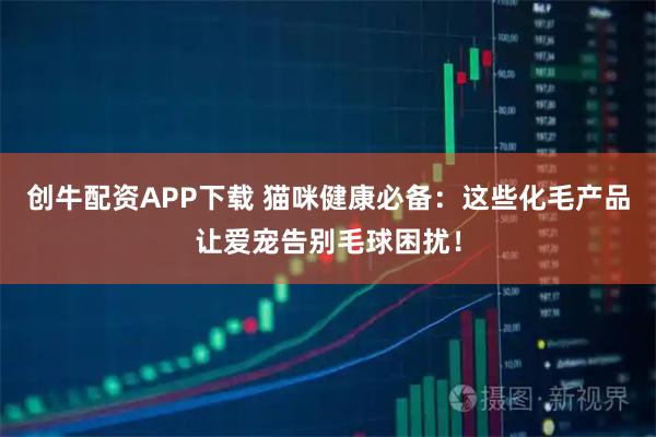 创牛配资APP下载 猫咪健康必备：这些化毛产品让爱宠告别毛球困扰！