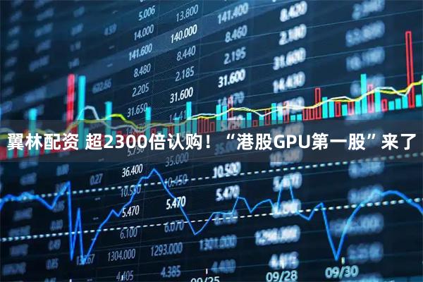 翼林配资 超2300倍认购！“港股GPU第一股”来了